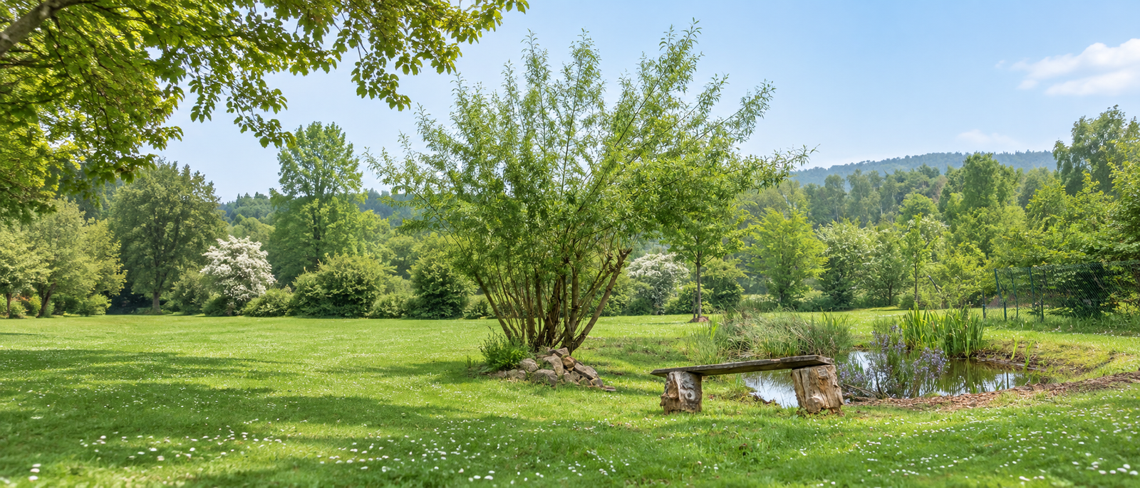 Panorama inspiré du jardin de l’école, avec le banc près de la mare